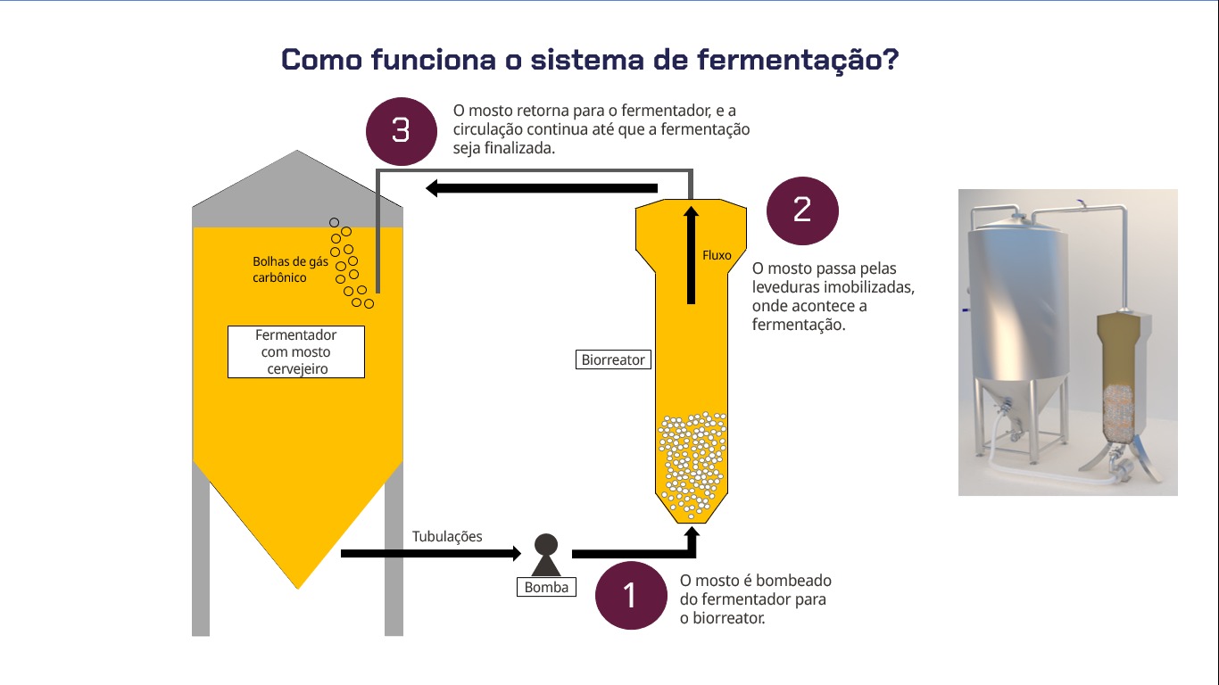 Fluxograma do módulo Panspermia e da Fermentação Imobilizada SA