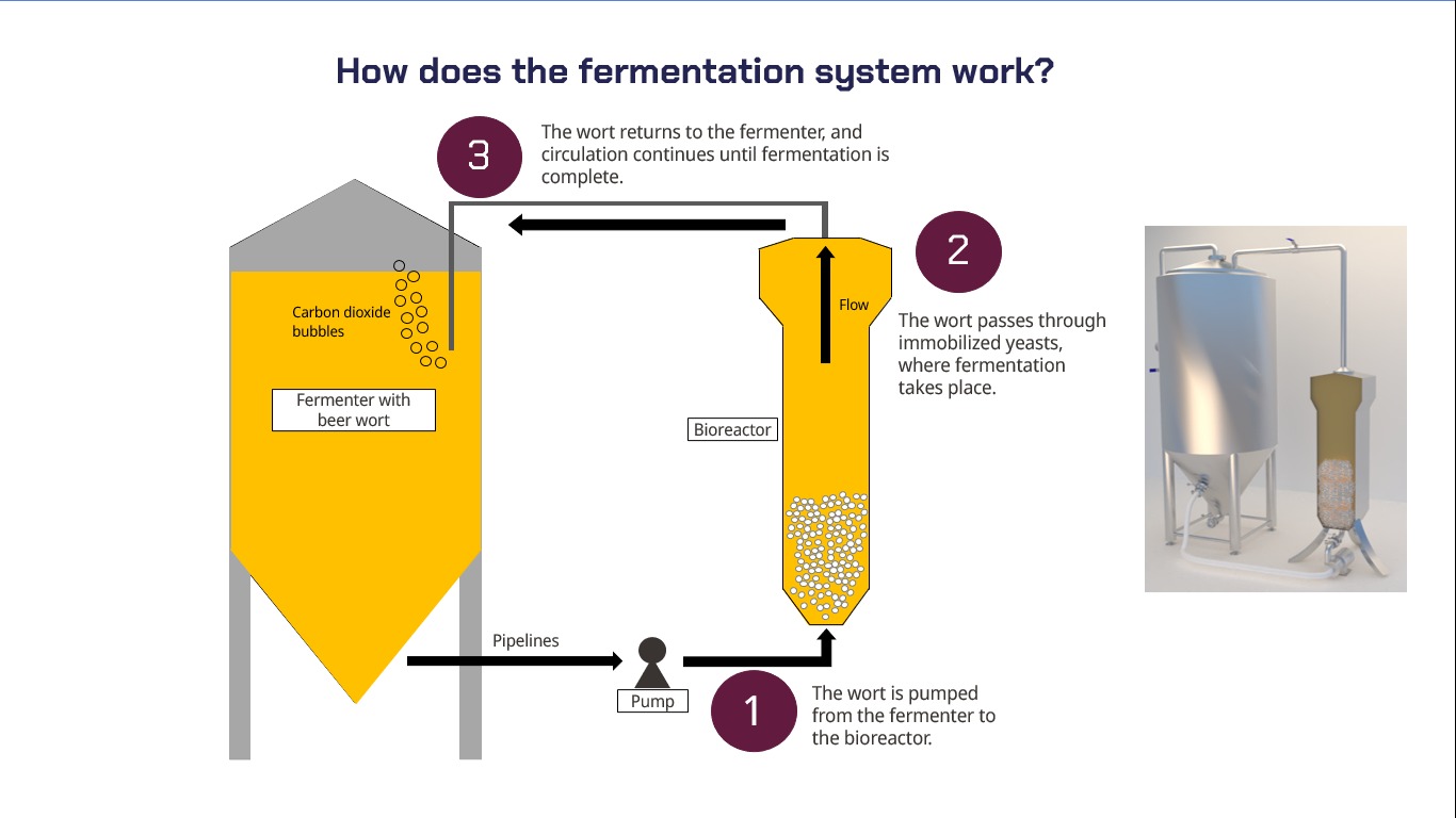 Flow diagram of the Panspermia module and SA Immobilized Fermentation